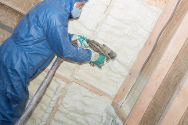 Eco-Friendly or Green Insulation Solutions in Zuni Pueblo, NM